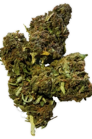 Elektra Weed Strain