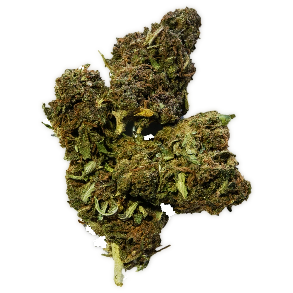 Elektra Weed Strain