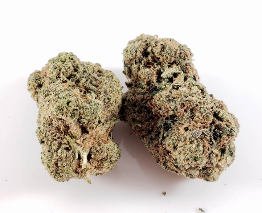 Orange Cookies