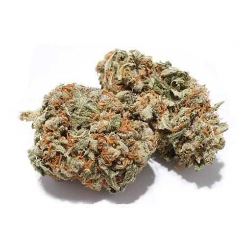 Champagne Diesel Weed Strain