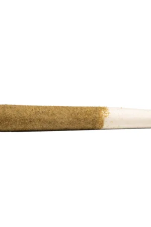 Berry G#33 Infused Pre-roll Joint