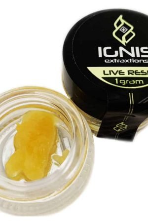 Birthday Cake – Live Resin