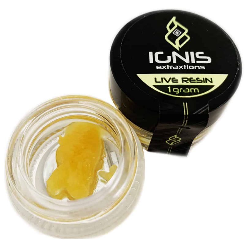 Birthday Cake – Live Resin