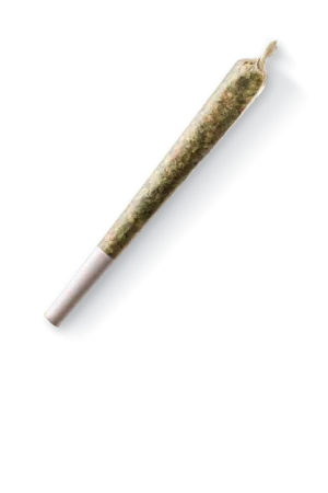 GMO Cookies Pre-roll Joint