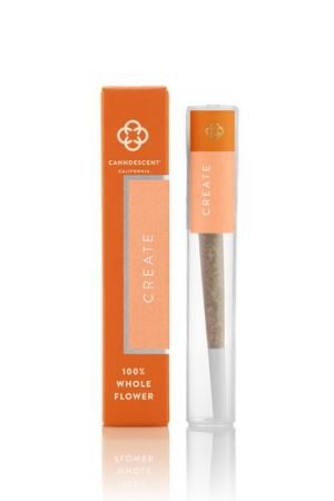 Miracle Alien 1 Pre-Roll