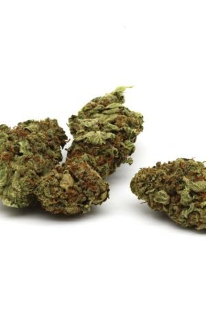 Tesla Marijuana Strain