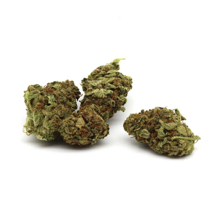 Tesla Marijuana Strain