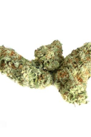 Mandarin Cookies Marijuana Strain