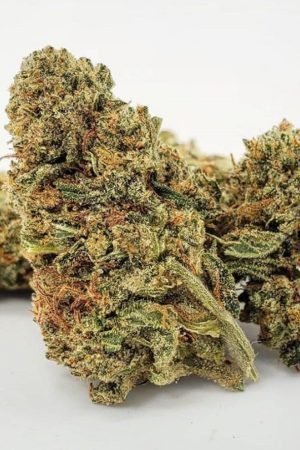 French Bread Marijuana Strain