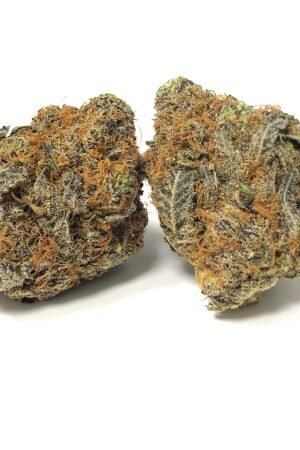 Emperor Cookies Marijuana Strain