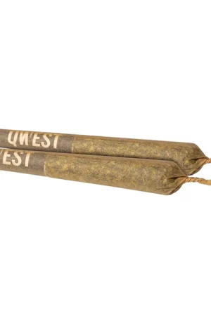 Papaya Cake Pre-roll Joint