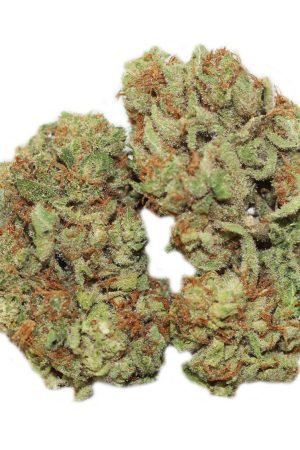 Blue Thai Marijuana Strain