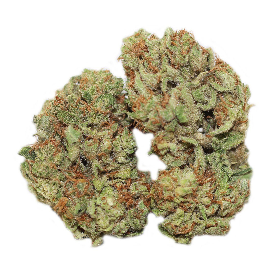 Blue Thai Marijuana Strain