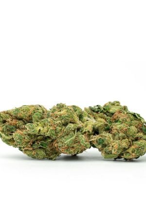 Alpha Dawg Marijuana Strain