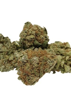 Olympic Chocolate Chunk Marijuana