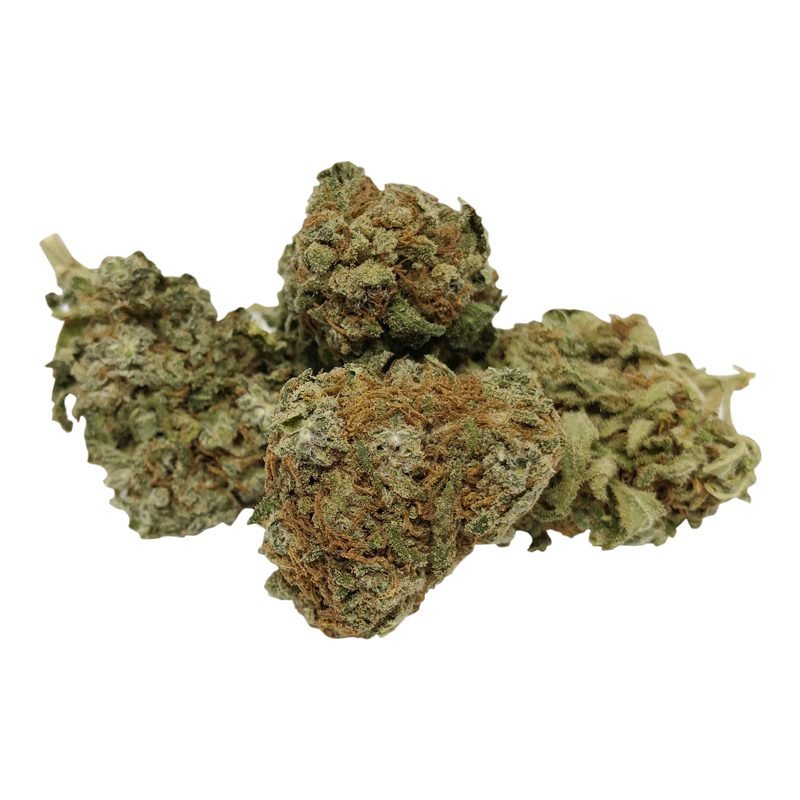 Olympic Chocolate Chunk Marijuana