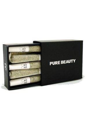 Black Box Pre-Roll Pack