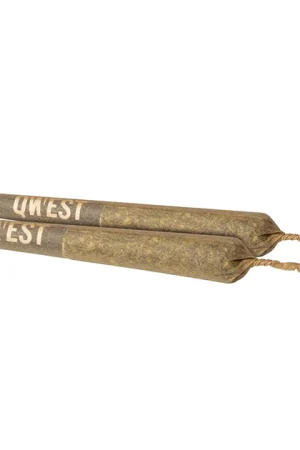 Blueberry Syrup Pre-roll Joint
