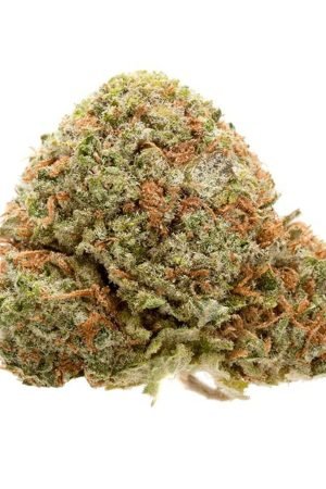 Elmer's Glue Cannabis Strain
