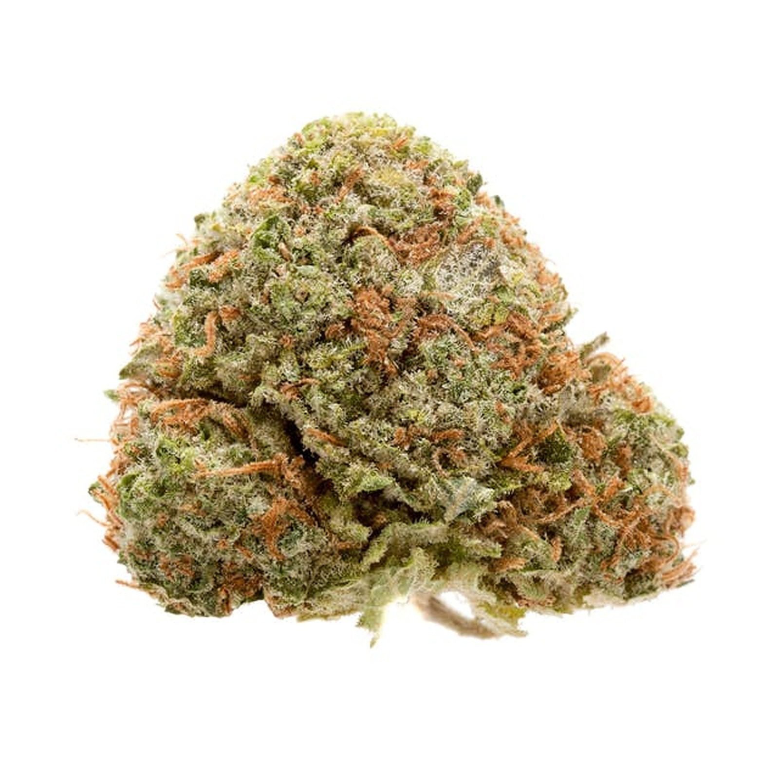 Elmer's Glue Cannabis Strain