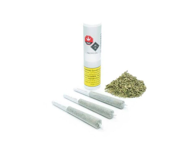 Pacific OG Pre-roll Joint