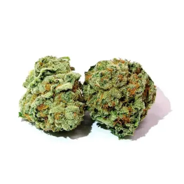 BC Kush Marijuana Strain
