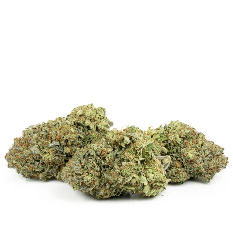 GMO Cookies Cannabis Strain