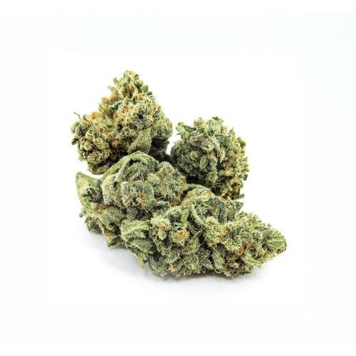 Exodus Kush Marijuana Strain