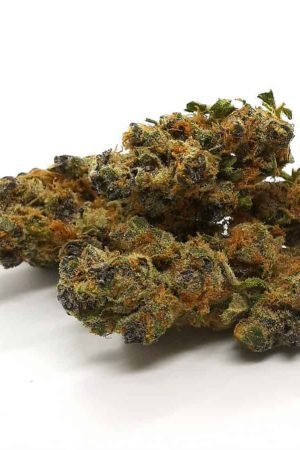 Tangerine Dream Marijuana Strain