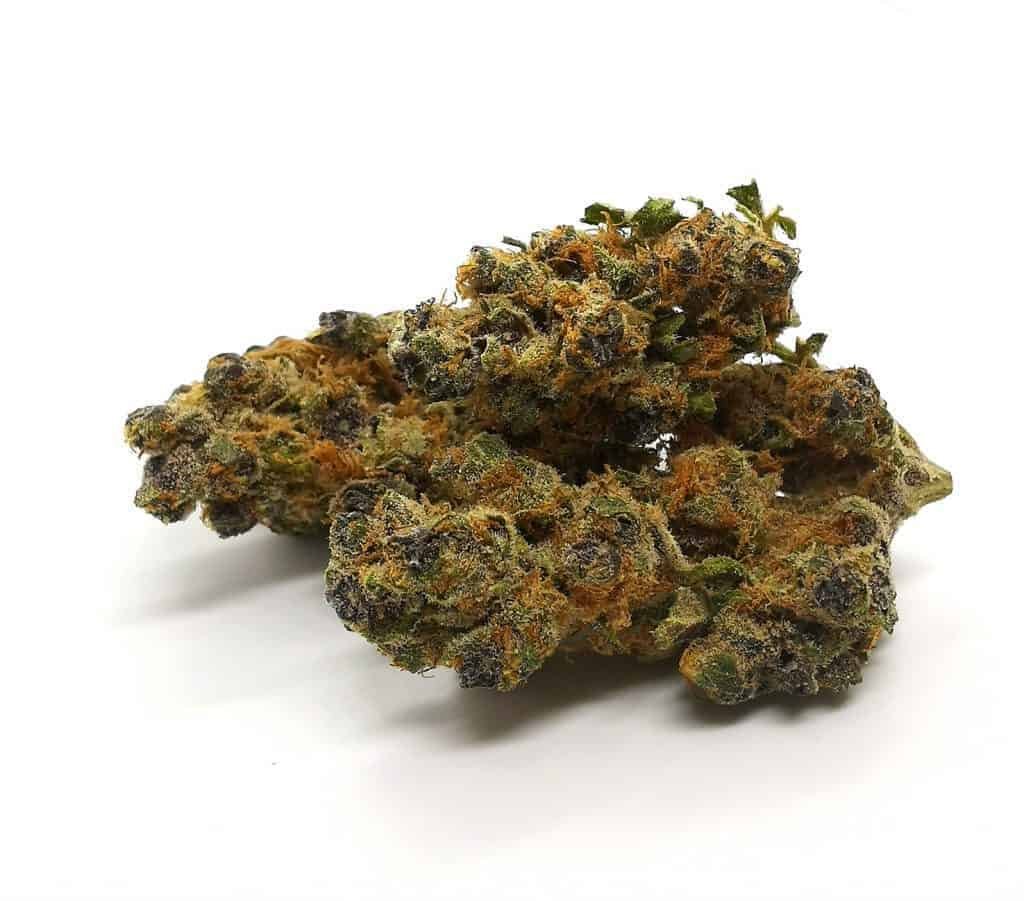 Tangerine Dream Marijuana Strain