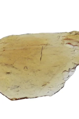 FBI Bruce Banner Shatter