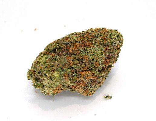 9lb Hammer Marijuana Strain