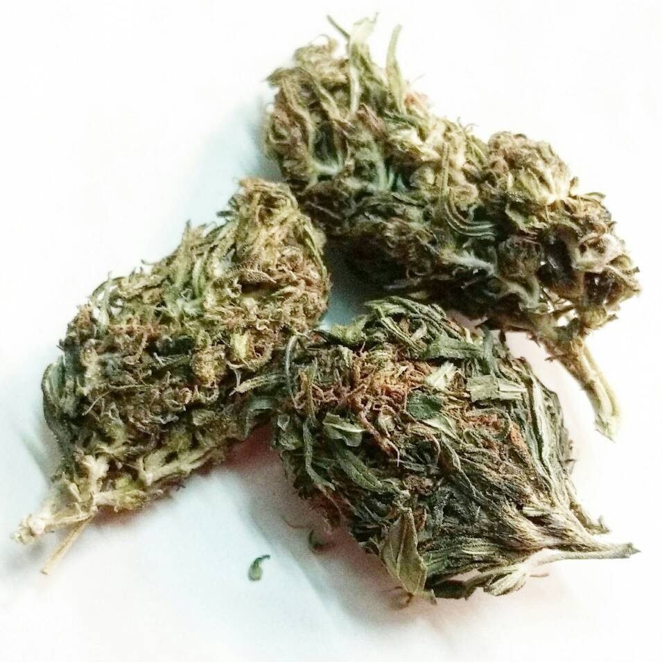 Allen Wrench Marijuana Strain