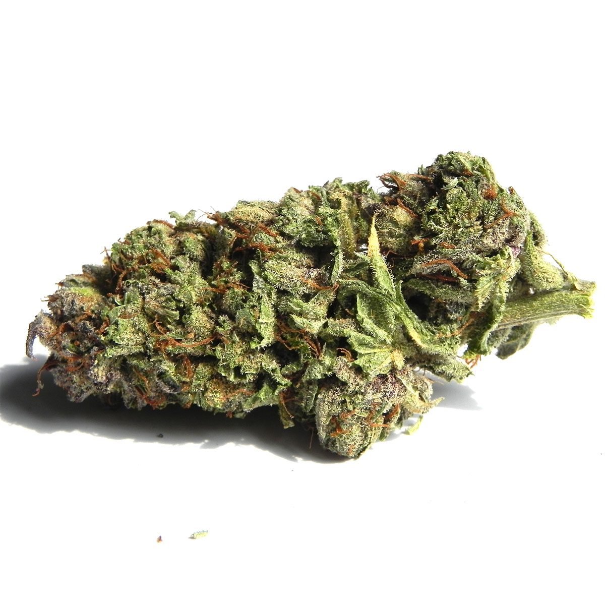 Astro Pink Marijuana Strain