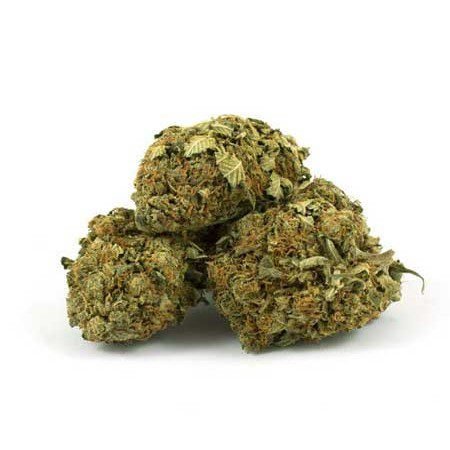 Atomical Haze Weed Strain