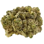 Beach Wedding Weed Strain