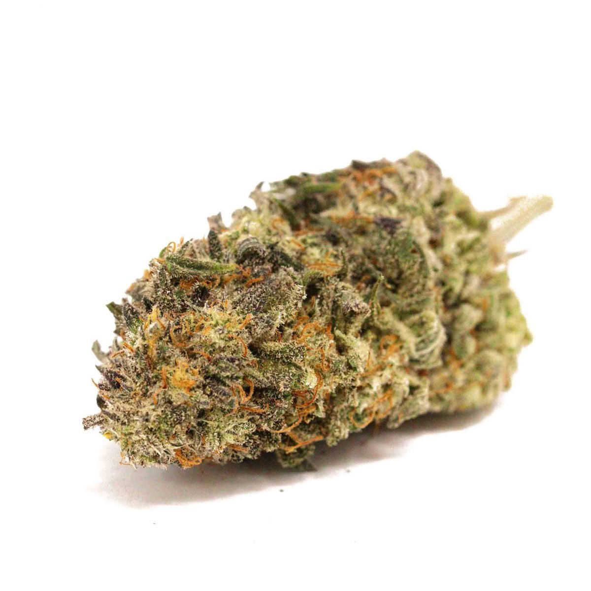 Biscotti Cannabis Strain