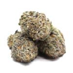 Black Milk Marijuana Strain