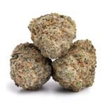 Blue Cheese Cannabis Strain