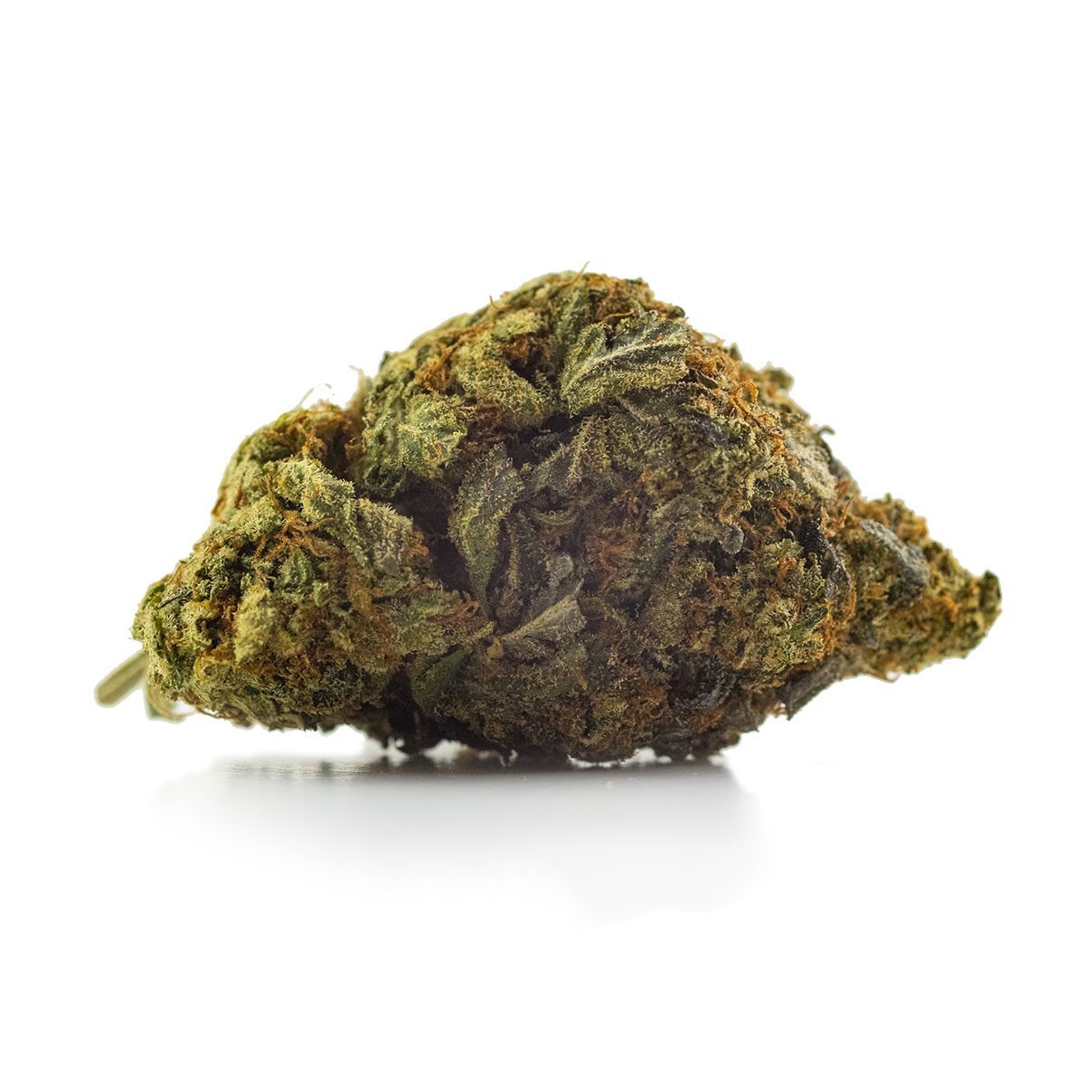 Blue Coma Cannabis Strain