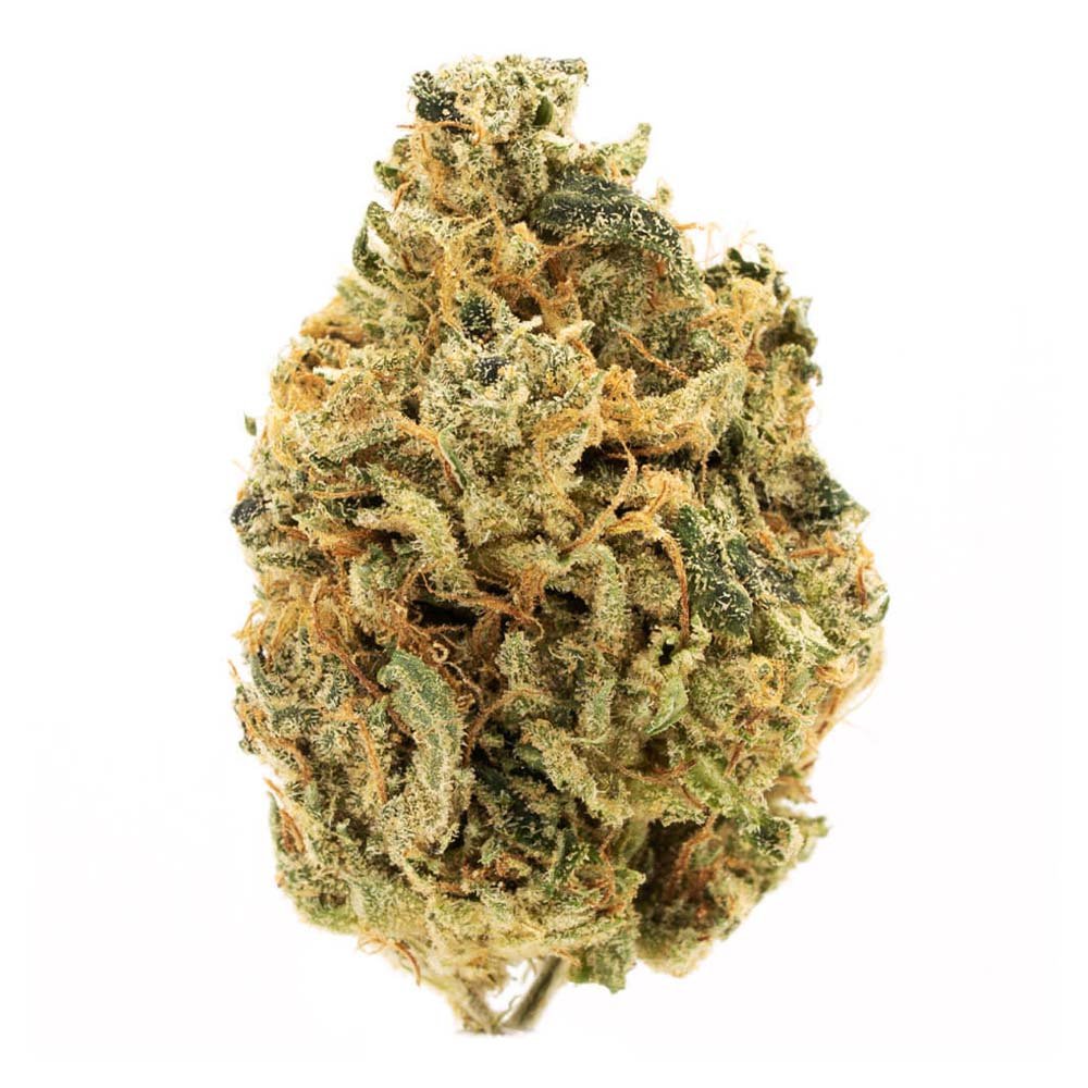 Bluefin Tuna Kush Marijuana