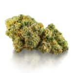 Bruce Banner Cannabis Strain