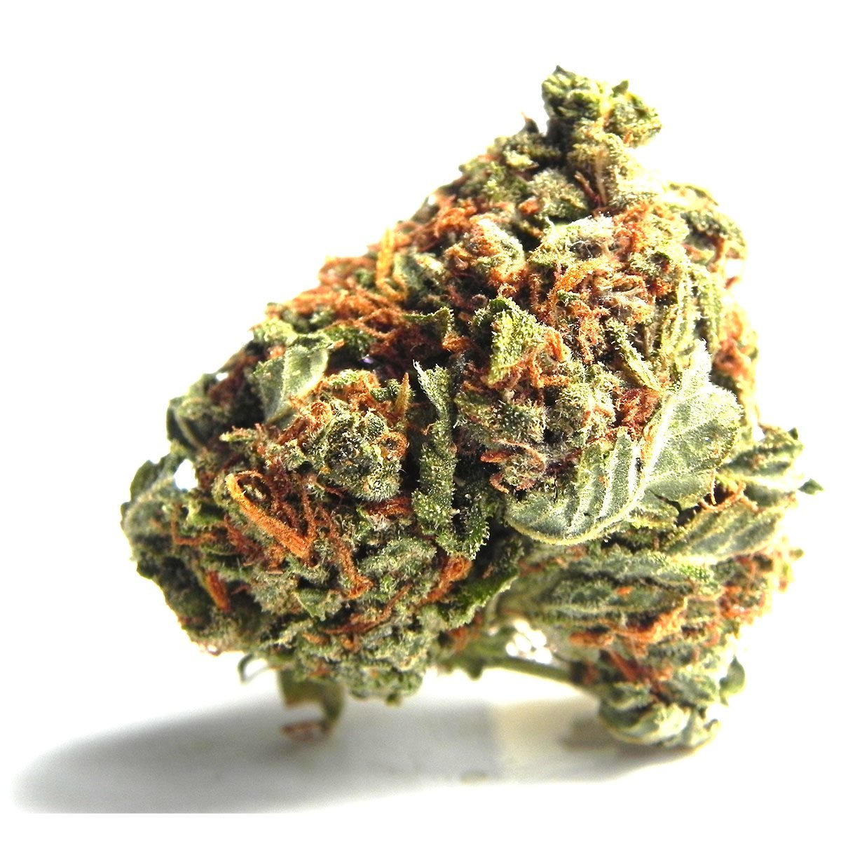 Bruce Banner Marijuana Strain
