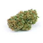 Cactus Marijuana Strain
