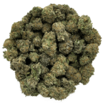Citrus Crush Marijuana Strain