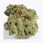 Dom Perignon Marijuana Strain