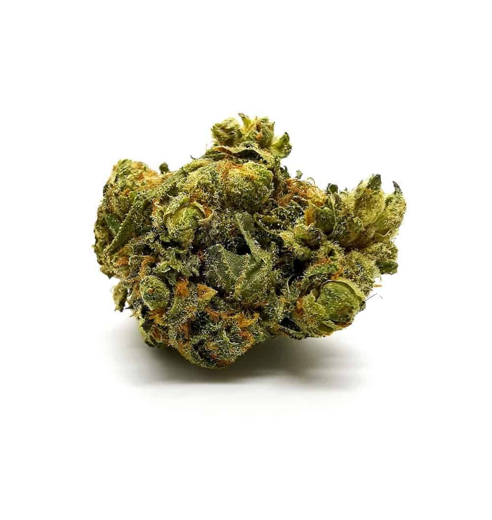Durga Mata Weed Strain