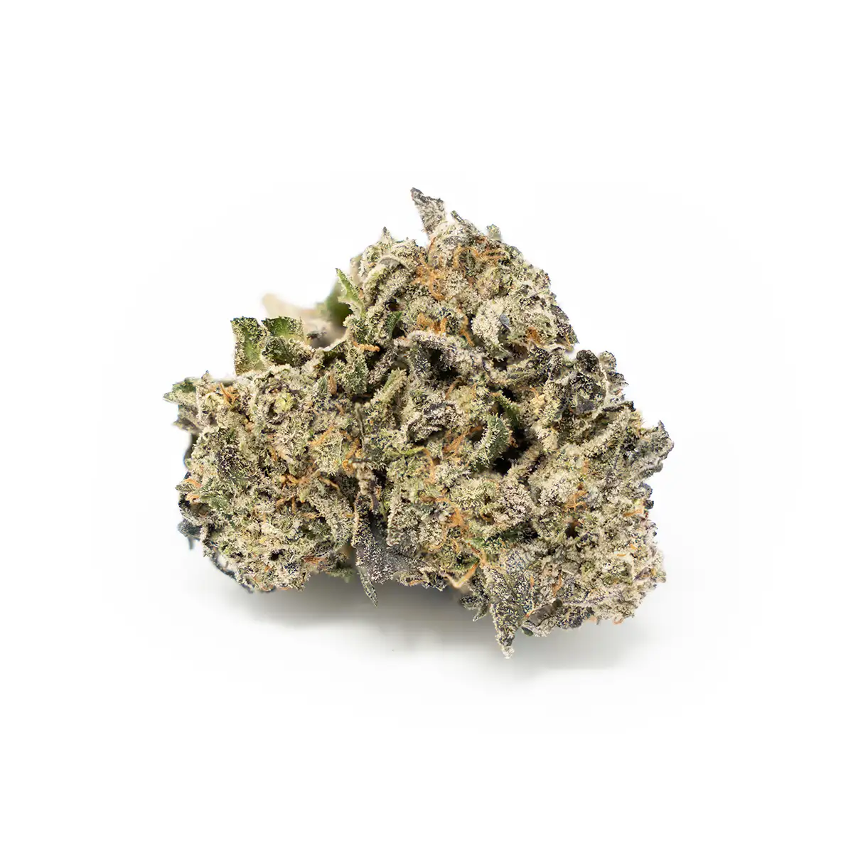 Gary Payton Weed Strain