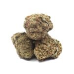 Gas Monkey Marijuana Strain