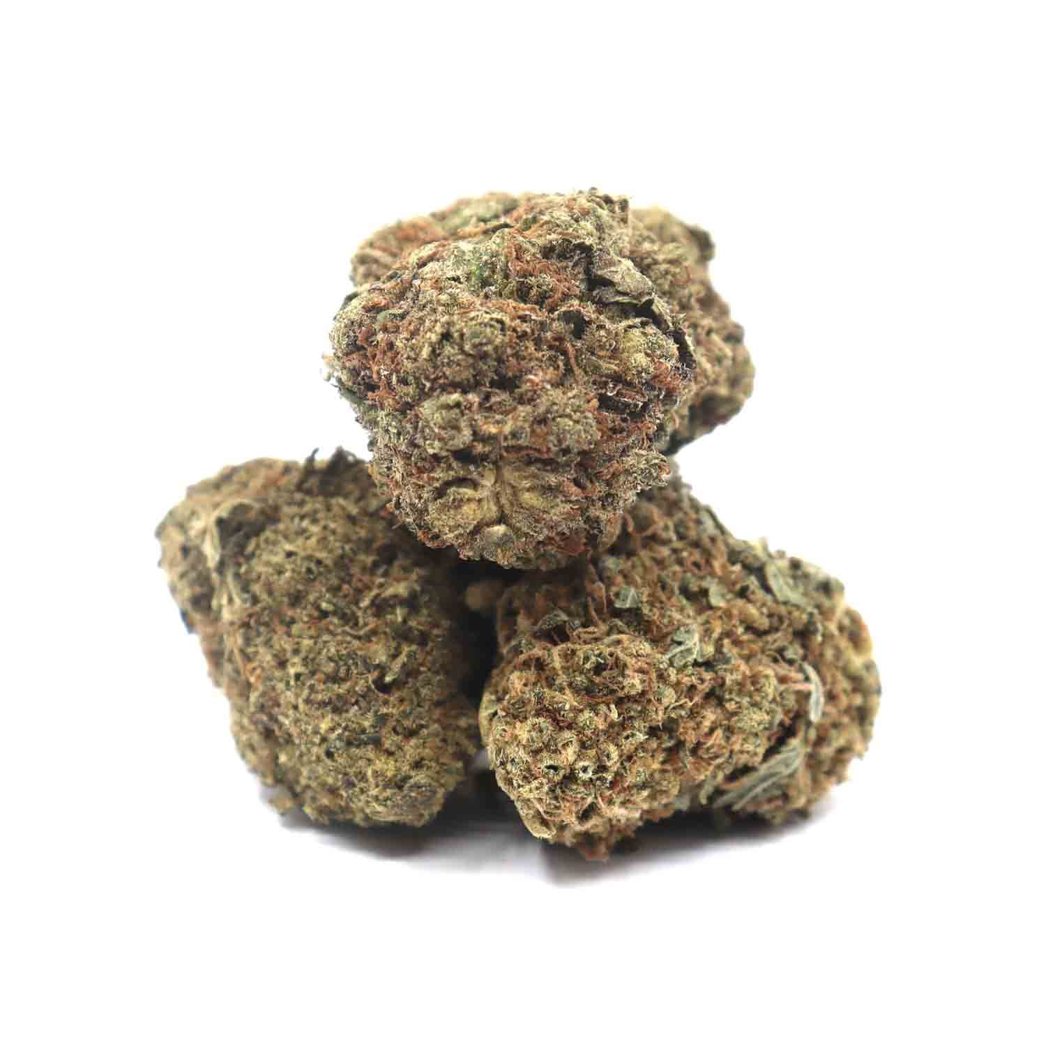 Gas Monkey Marijuana Strain